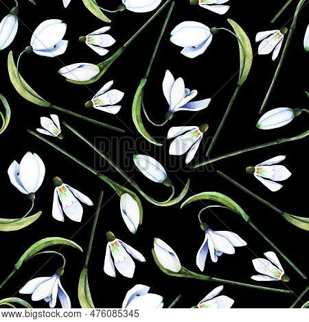 Watercolor Snowdrops. Botanical Flowers Seamless Pattern. Watercolor Illustration Of Plants On A Whi