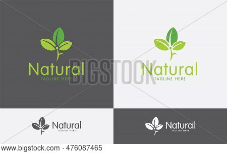 Natural Brand Logo Design Vector Art Eps