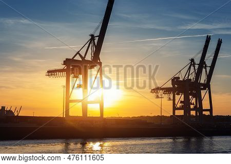 Scenic View Row Big Cargo Container Ship Loading Hamburg City Port Harbour Seaport Cranes At Warm Mo