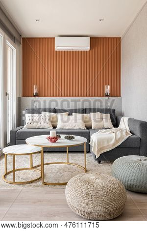 Vertical Shot Of A Stylish Living Room With Terracotta Wall, Sofa And Modern Interior Accessories Ta