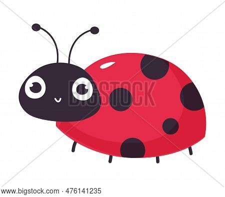 Cheeful Ladybug. Cute Little Ladybird Insect Cartoon Vector Illustration