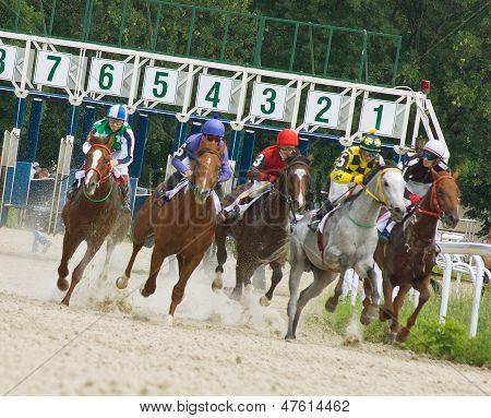 Horse Racing