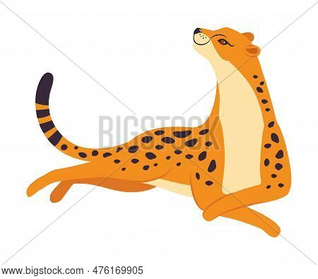 Lying Leopard As Wild Cat With Long Spotted Body Vector Illustration