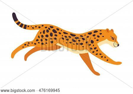 Running Leopard Wild Vector & Photo (Free Trial) | Bigstock