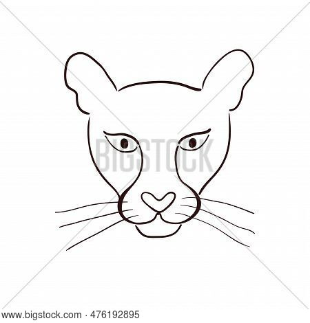 Cute Cougar Face, Portrait Hand Drawn Cartoon Character Illustration, Sketch. Line Art, Drawing Styl