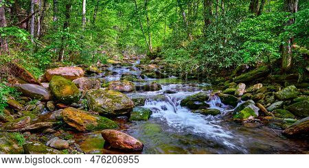 Curtis Creek Near Curtis Creek Campground In The Pisgah National Forest North Carolina.