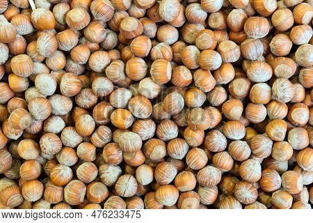 Composition Of Piedmont Igp Hazelnuts. High Quality Photo