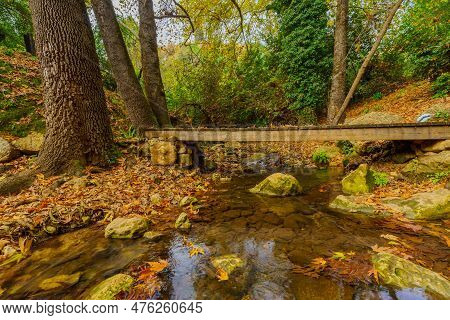 View Of Rocks, Trees, Water Stream, Fall Foliage, Footbridge, And Trail Marks, In The Amud Stream Na