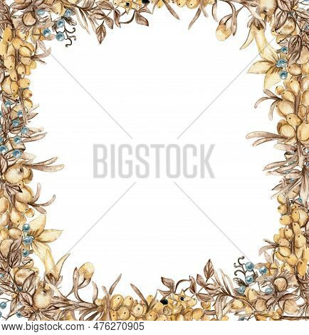 Watercolor Autumn Square Frame With Sea Buckthorn Llustration Of Autumn For Scrapbooking, Nvitation,