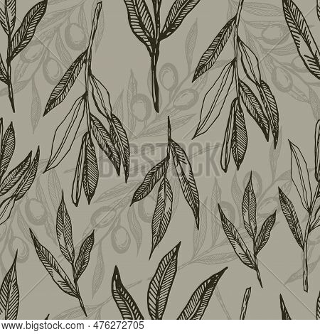 Vector Graphics Of Olive Branches. Olive Branches On A Dark Background. Seamless Pattern With A Patt