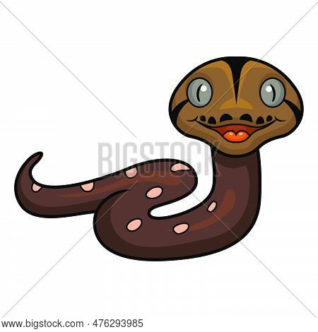 Vector Illustration Of Cute Golden Child Phantom Reticulatus Python Cartoon