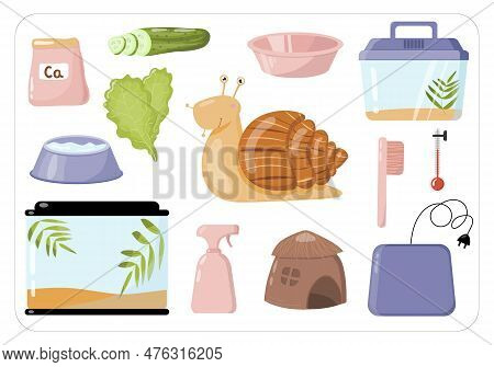Vector Set Of Pet Snail Achatina Fulica Care Items Isolated On White Background. Flat Cartoon Design