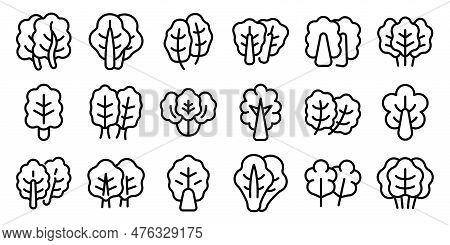 Chard Icons Set Outline Vector. Mangold Agriculture. Cabbage Diet