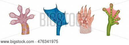 Animal Paw And Animalistic Pets Claw Vector Set