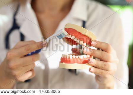 Female Doctor Holds Human Jaw Model In Hand Showing Process Of Brushing Teeth. Woman In Lab Coat Mov
