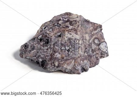 Pelitic Schist Rock Isolated On White Background