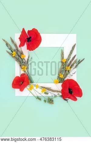 Red Poppy And Buttercup Wildflower And Meadow Grass Background Frame On Green. Minimal English Summe