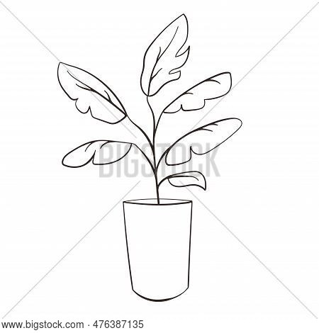 Banana Tree Line Art Style. Contour Drawing Of Banana Leaves. Tropical Fashion Print In A Minimalist