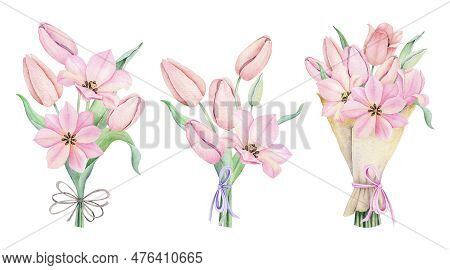 Set Of Bouquets With Pink Tulip Flowers. Spring Florar Bouquet With Bow. Hand Drawn Watercolor Illus