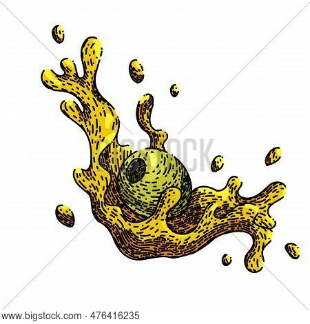 Oline Oil Splash Hand Drawn. Food Olive, Natural Branch, Green Plant, Mediterranean Fresh, Leaf Leav