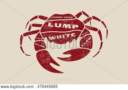 Stock Vector Crab Cuts Diagram In Flat Style. Design With Rough Texture. Red Print On Light Backgrou