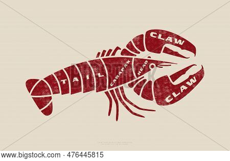 Stock Vector Lobster Cuts Diagram In Flat Style. Design With Rough Texture. Red Print On Light Backg
