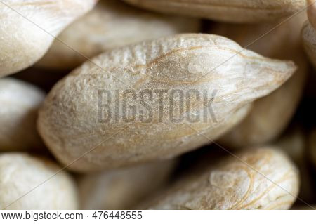 Macroshot Of Peeled Sunflower Seeds. Selective Focus