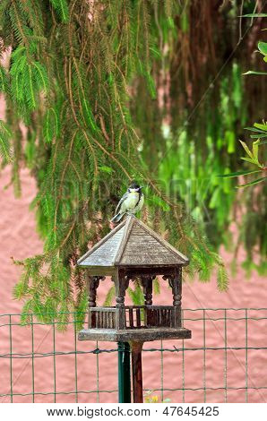 Tit วางบนบ้านไม้ฝรั่งเศส