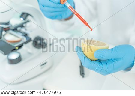 Scientist Check Chemical Food Residues In Laboratory. Control Experts Inspect Quality Of Fruits, Veg