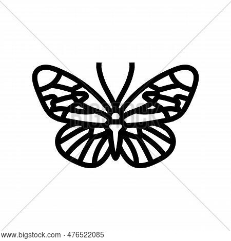 Sapho Longwing Insect Line Icon Vector. Sapho Longwing Insect Sign. Isolated Contour Symbol Black Il