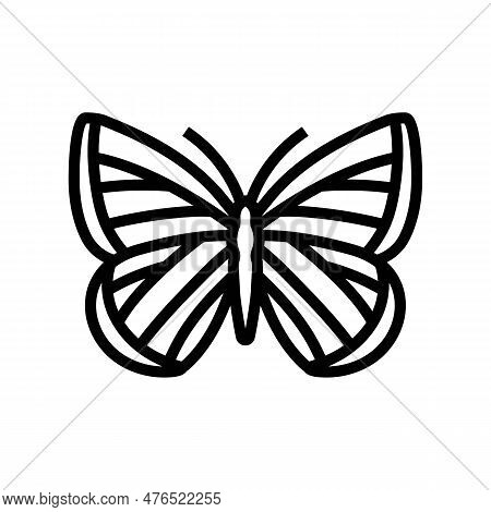 Spring Azure Insect Line Icon Vector. Spring Azure Insect Sign. Isolated Contour Symbol Black Illust