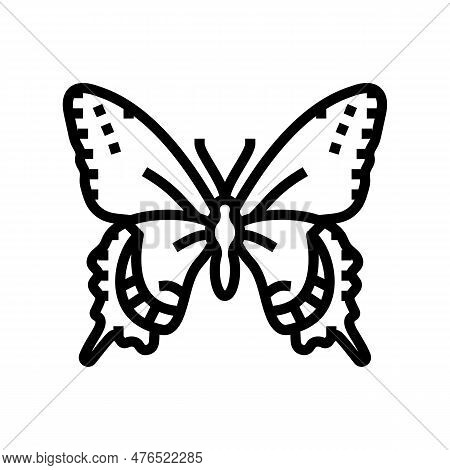 Black Swallowtail Spring Line Icon Vector. Black Swallowtail Spring Sign. Isolated Contour Symbol Bl