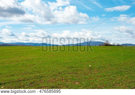Country Landscape, Green Field On Blue Sky Background. Early Spring. Blagoevgrad Region, Bulgaria