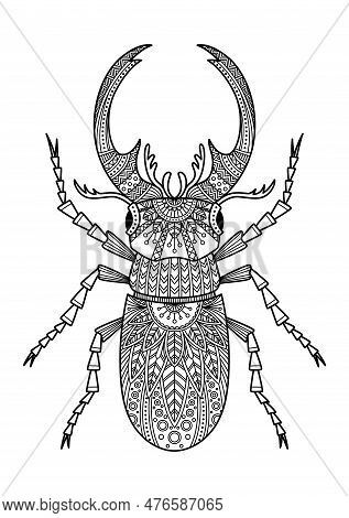 Stag Beetle Anti-tress Doodle Coloring Book Page For Adult. Zentangle Insect Black And White Illustr