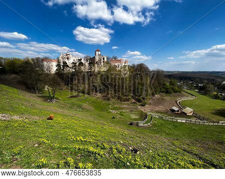 Tenczyn Castle - The Ruins Of A Castle Located In The Jura Krakowsko-częstochowska, Included In The 