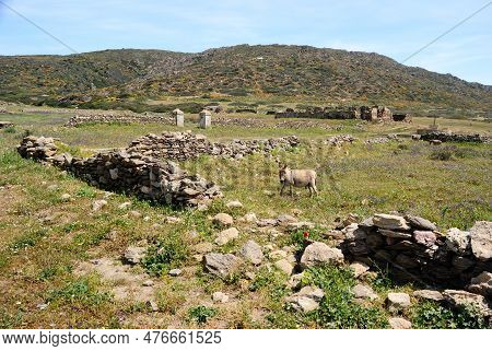 View Of The Campo Perdu Place, Asinara, Porto Torres