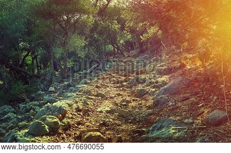 Lycian Way, Walking In Lycian Way. Lycian Way Trail. Hiking In Nature.