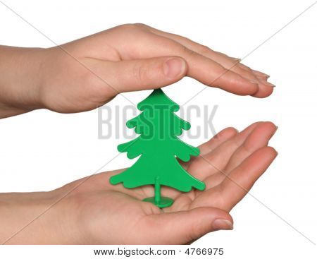 El plastik ağaç.