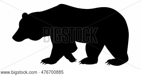 Bear Vector Silhouette. Monochrome Vector Bear Logo Template. Grizzly Walking Silhouette. Isolated H