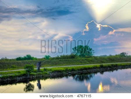 Morning Glory