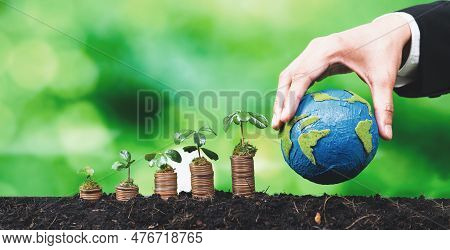 Corporate Business Invests In Environmental Subsidies With Seedlings Growing On Coin Stack For Natur