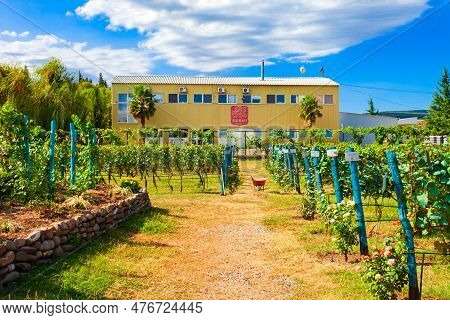 Tsinandali, Georgia - September 03, 2021: Shumi Winery Building And Vineyard In Tsinandali Village, 