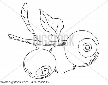 Linart Illustration Of Berries, Hand-drawn Digital Ink. Isolates, Single Element. Suitable For The D