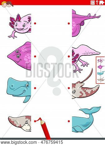 Cartoon Illustration Of Educational Activity Of Matching Halves Of Pictures With Funny Marine Animal