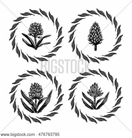 Linotype Floral Icon Collection In Whimsical Vector Art. Decorative Foliate Design For Rustic Botany