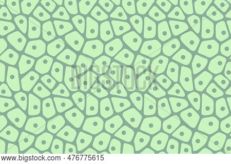 Seamless Plant Biological Cell Pattern. Vector Illustration
