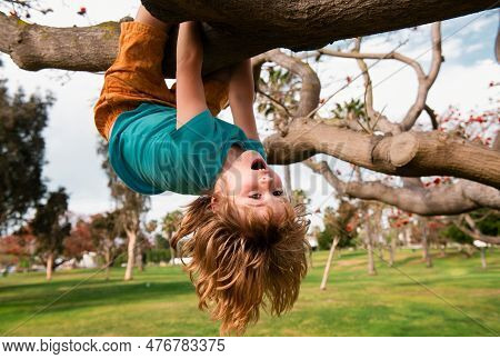 Cute Blonde Child Boy Hangs On A Tree Branch. Summer Holidays, Little Boy Climbing A Tree. Upside Do