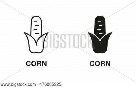 Corn Line And Silhouette Icon Set. Maize Grain Black Pictogram. Corncob Plant, Sweetcorn Symbol Coll