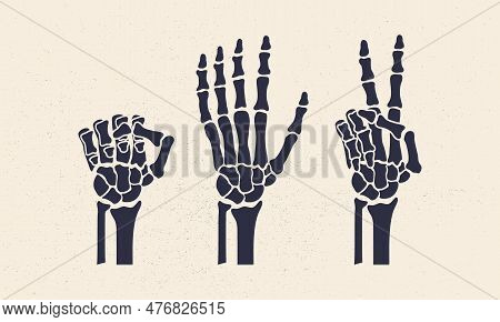 Rock, Scissors, Paper Gestures. Skeleton Hands Set Isolated On White Background. Rock, Scissors, Pap