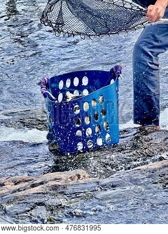 Canada Nova Scotia Halifax Cow Bay Fishing